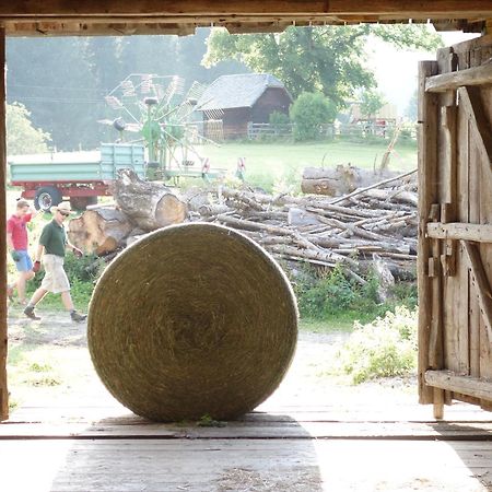 Zeutschach Urlaub Am Bio-Bauernhof Liebchenヴィラ エクステリア 写真