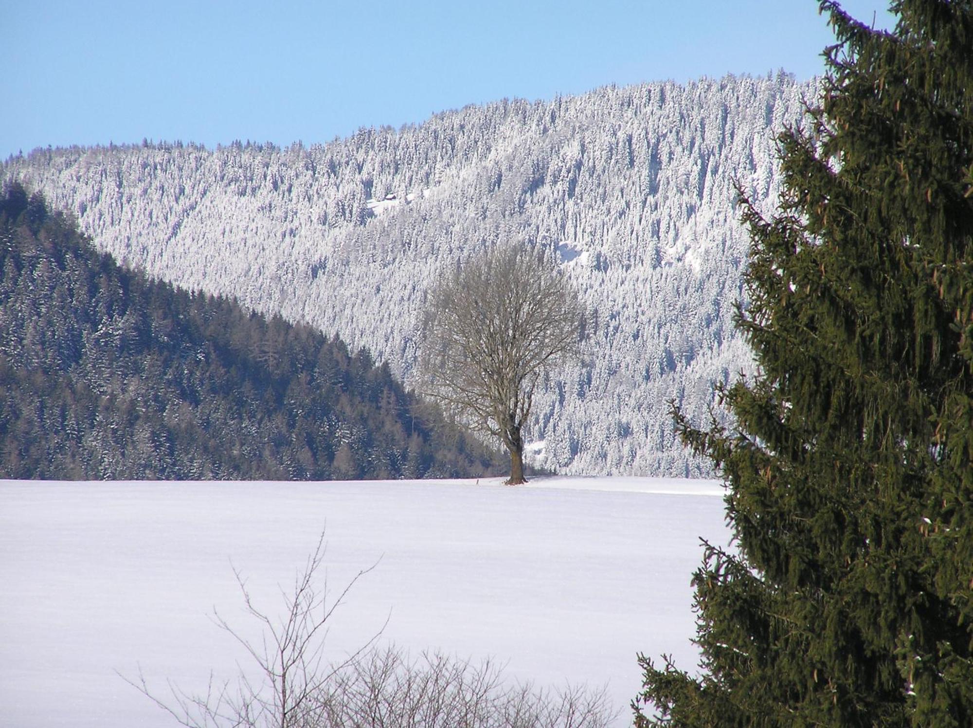 Zeutschach Urlaub Am Bio-Bauernhof Liebchenヴィラ エクステリア 写真