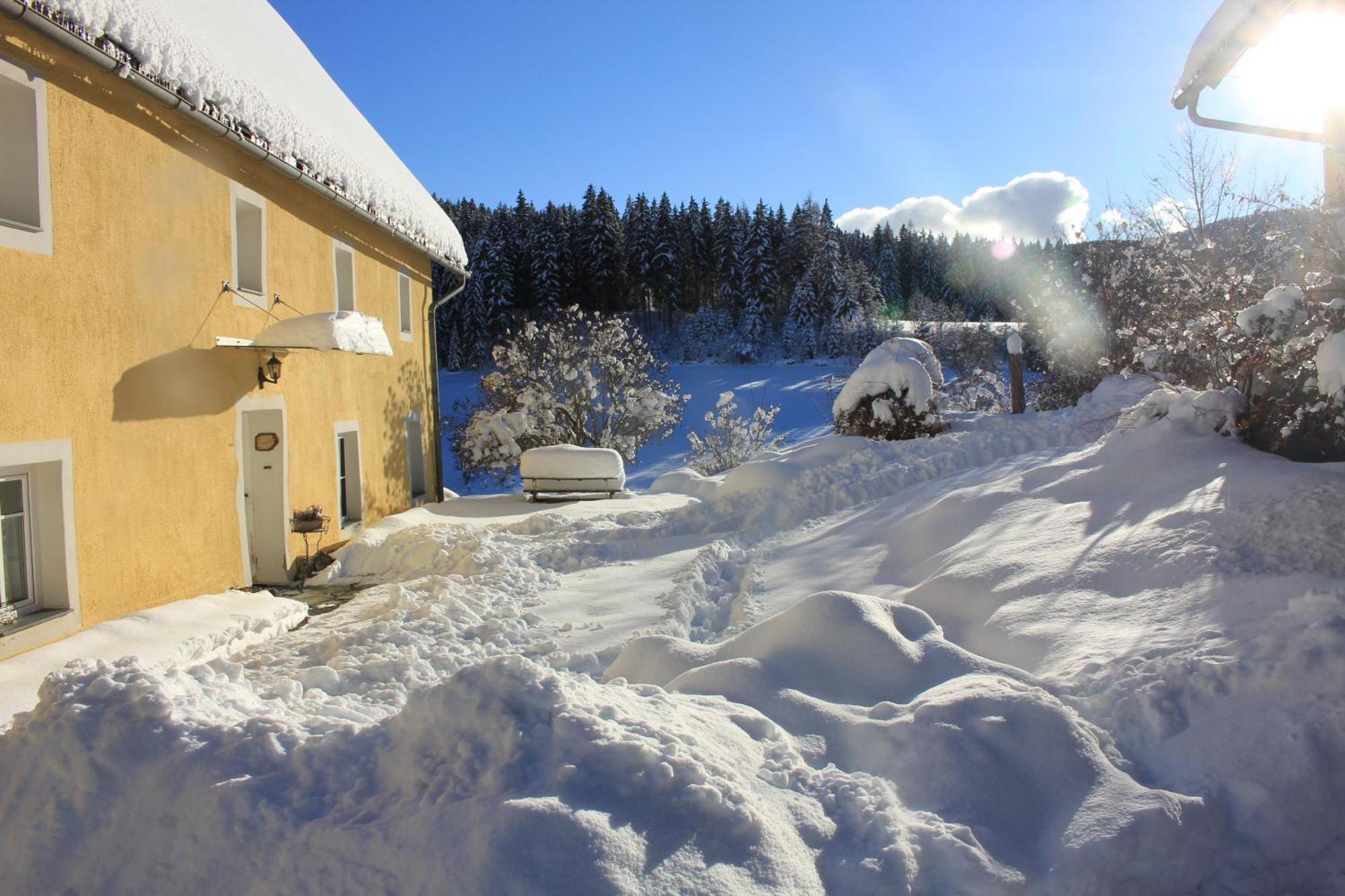 Zeutschach Urlaub Am Bio-Bauernhof Liebchenヴィラ エクステリア 写真
