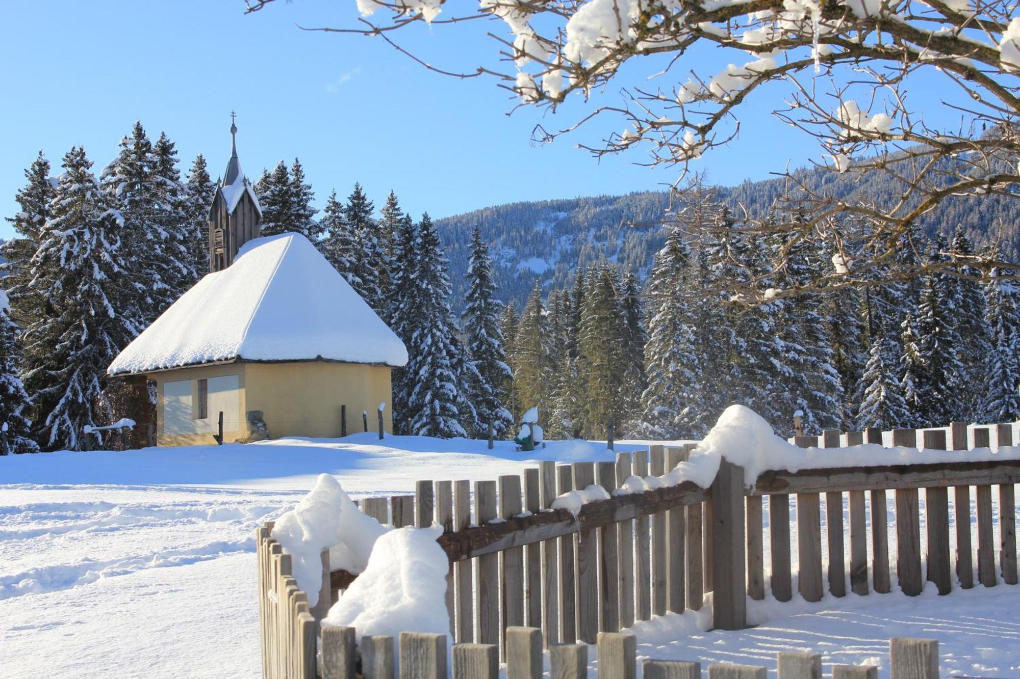 Zeutschach Urlaub Am Bio-Bauernhof Liebchenヴィラ エクステリア 写真