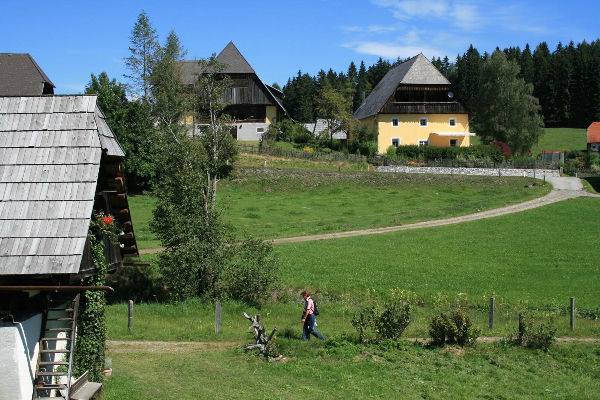 Zeutschach Urlaub Am Bio-Bauernhof Liebchenヴィラ エクステリア 写真