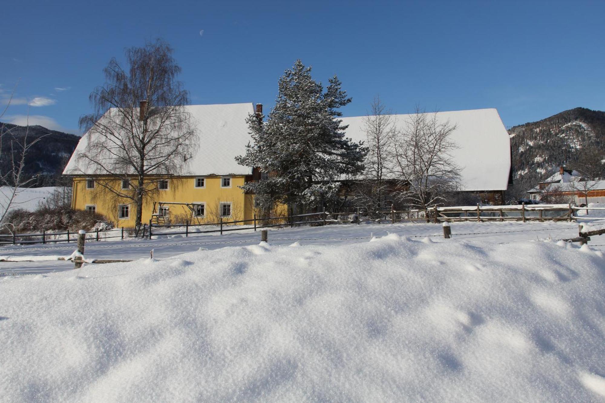 Zeutschach Urlaub Am Bio-Bauernhof Liebchenヴィラ エクステリア 写真