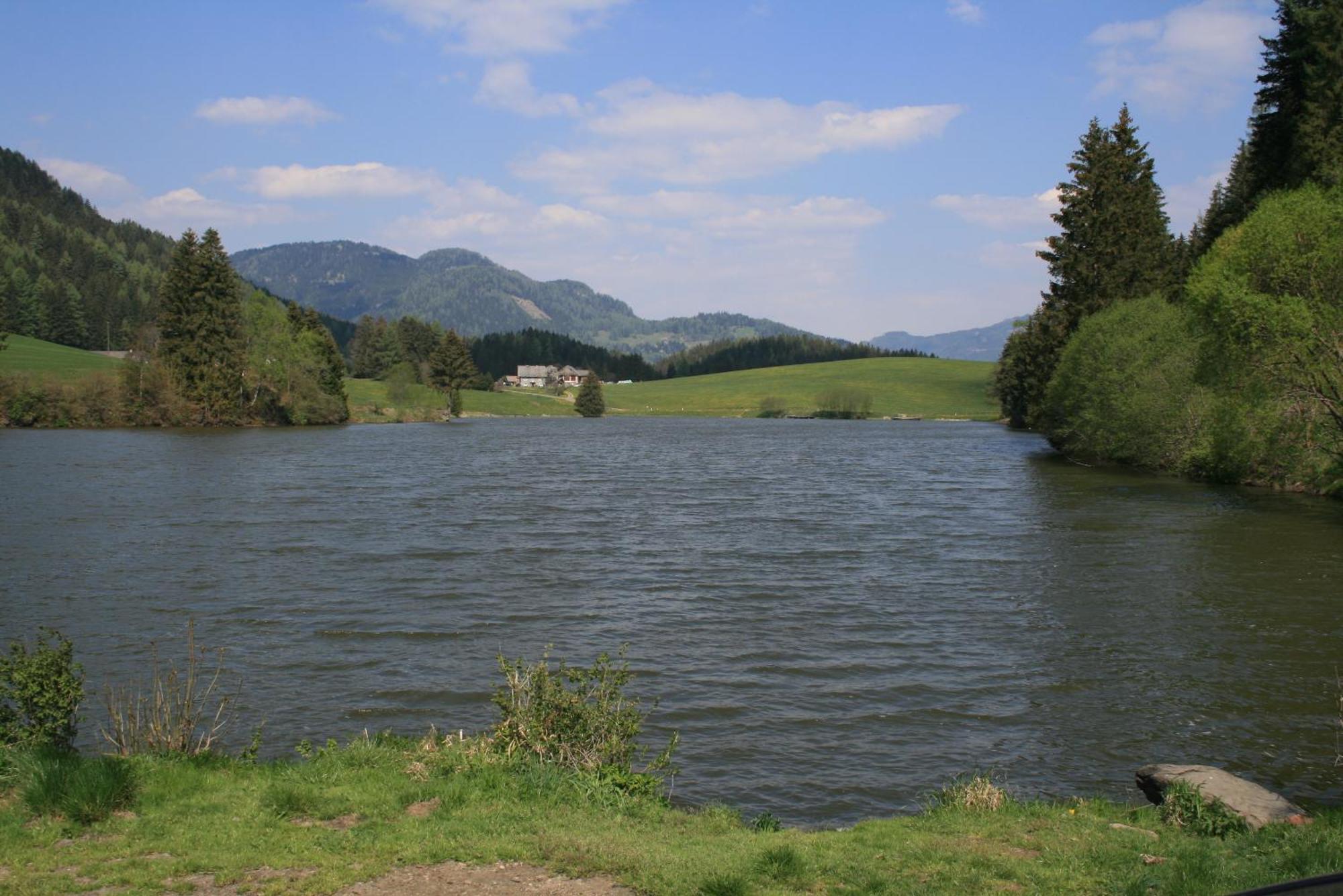 Zeutschach Urlaub Am Bio-Bauernhof Liebchenヴィラ エクステリア 写真