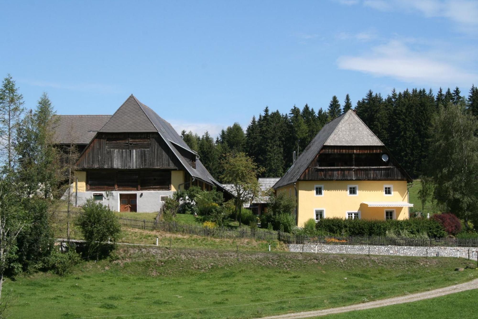 Zeutschach Urlaub Am Bio-Bauernhof Liebchenヴィラ エクステリア 写真