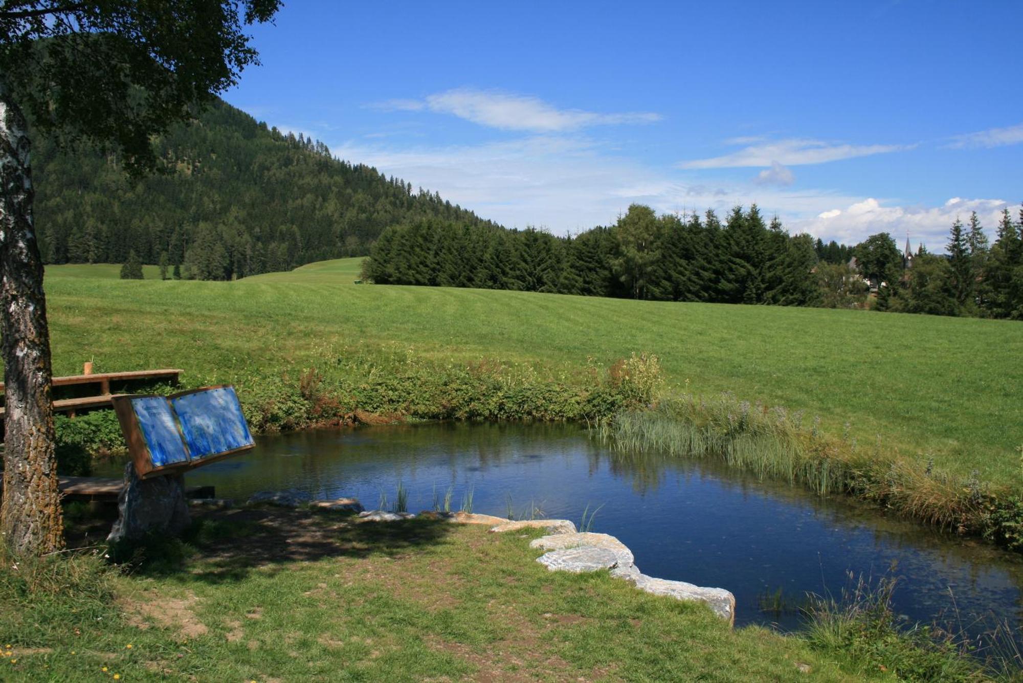 Zeutschach Urlaub Am Bio-Bauernhof Liebchenヴィラ エクステリア 写真